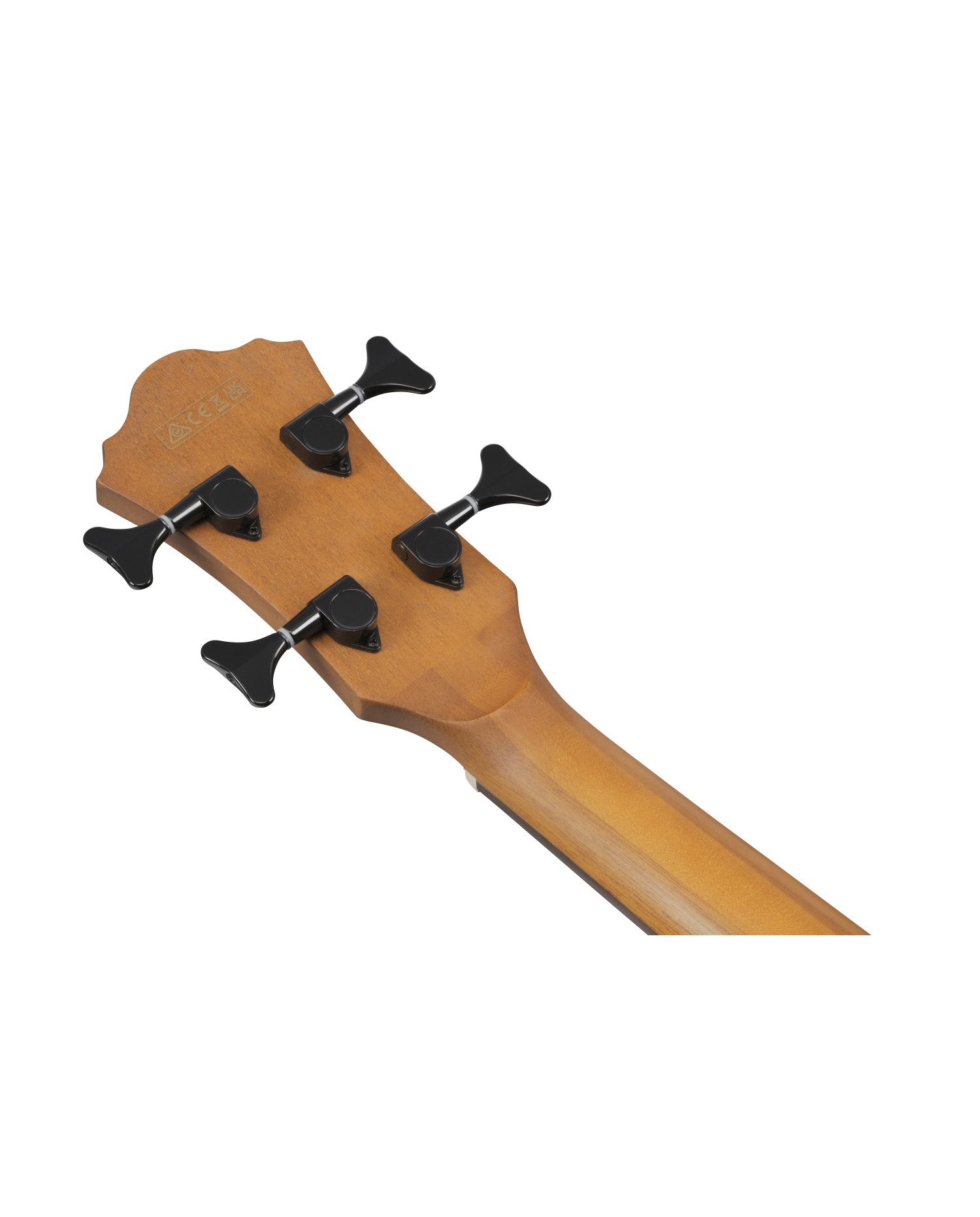 Ibanez AEGB25E-TKH - Chitara bass electro-acustica
