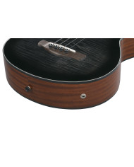 Ibanez AEGB25E-TKH - Chitara bass electro-acustica