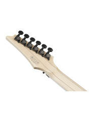 Ibanez RG653DX-TDF - Chitara Electrica Cu Case