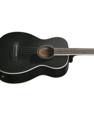 Ibanez PCBE14MH-WK - Chitara bass electro-acustica