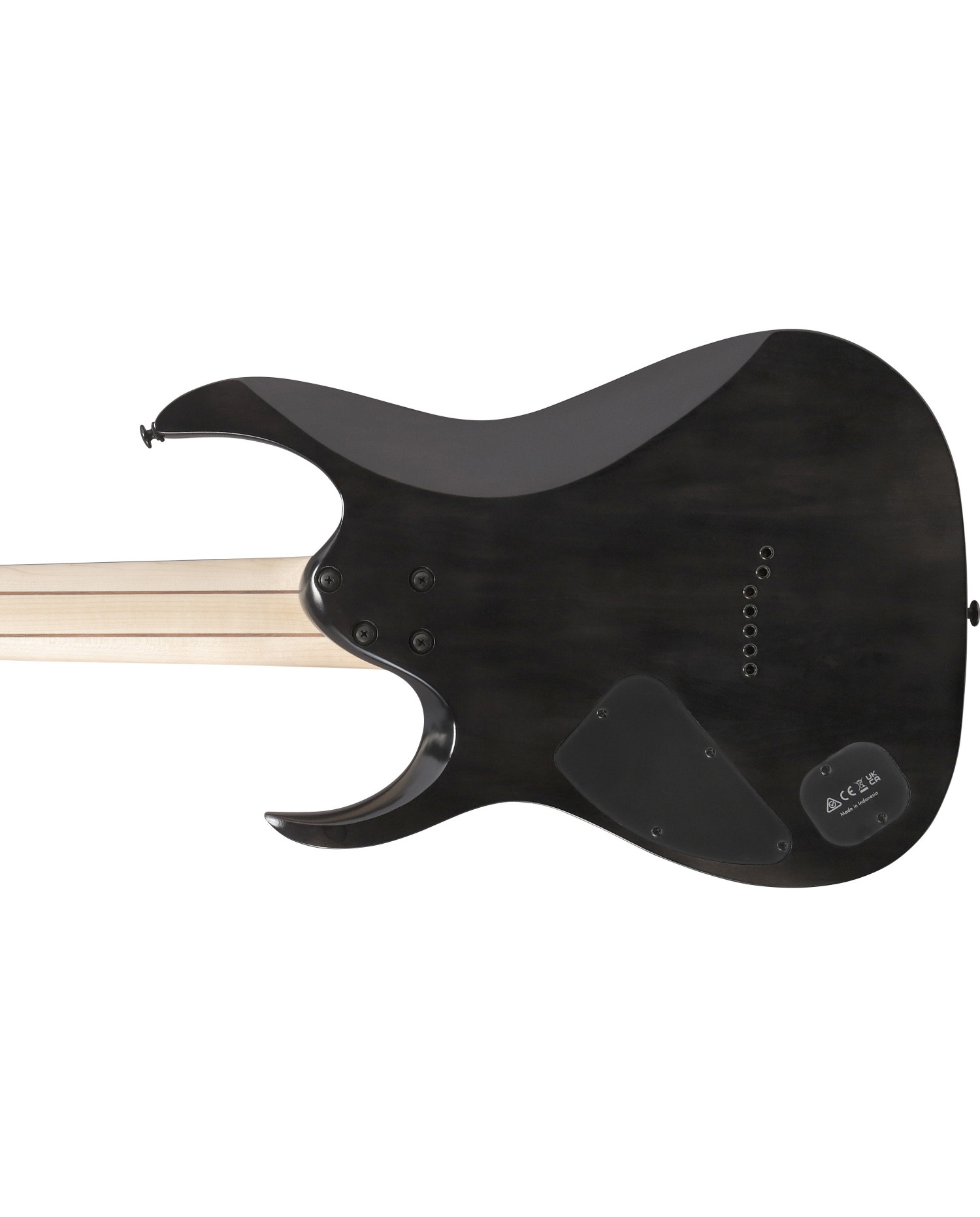 Ibanez RGA217P1PB-DRL - Chitara Electrica Cu Husa