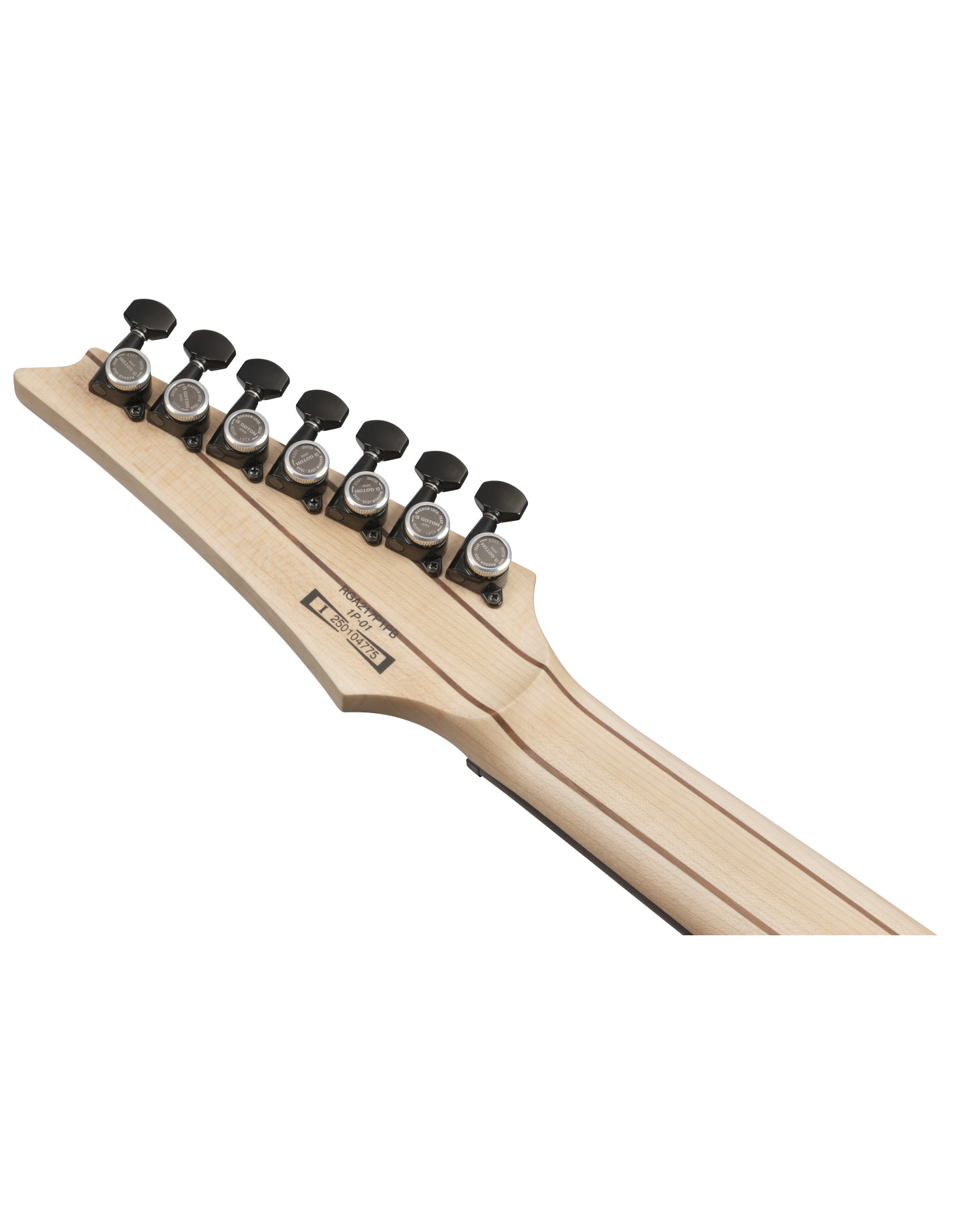 Ibanez RGA217P1PB-DRL - Chitara Electrica Cu Husa