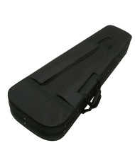 Ibanez F30EG-BK - Case chitara electrica