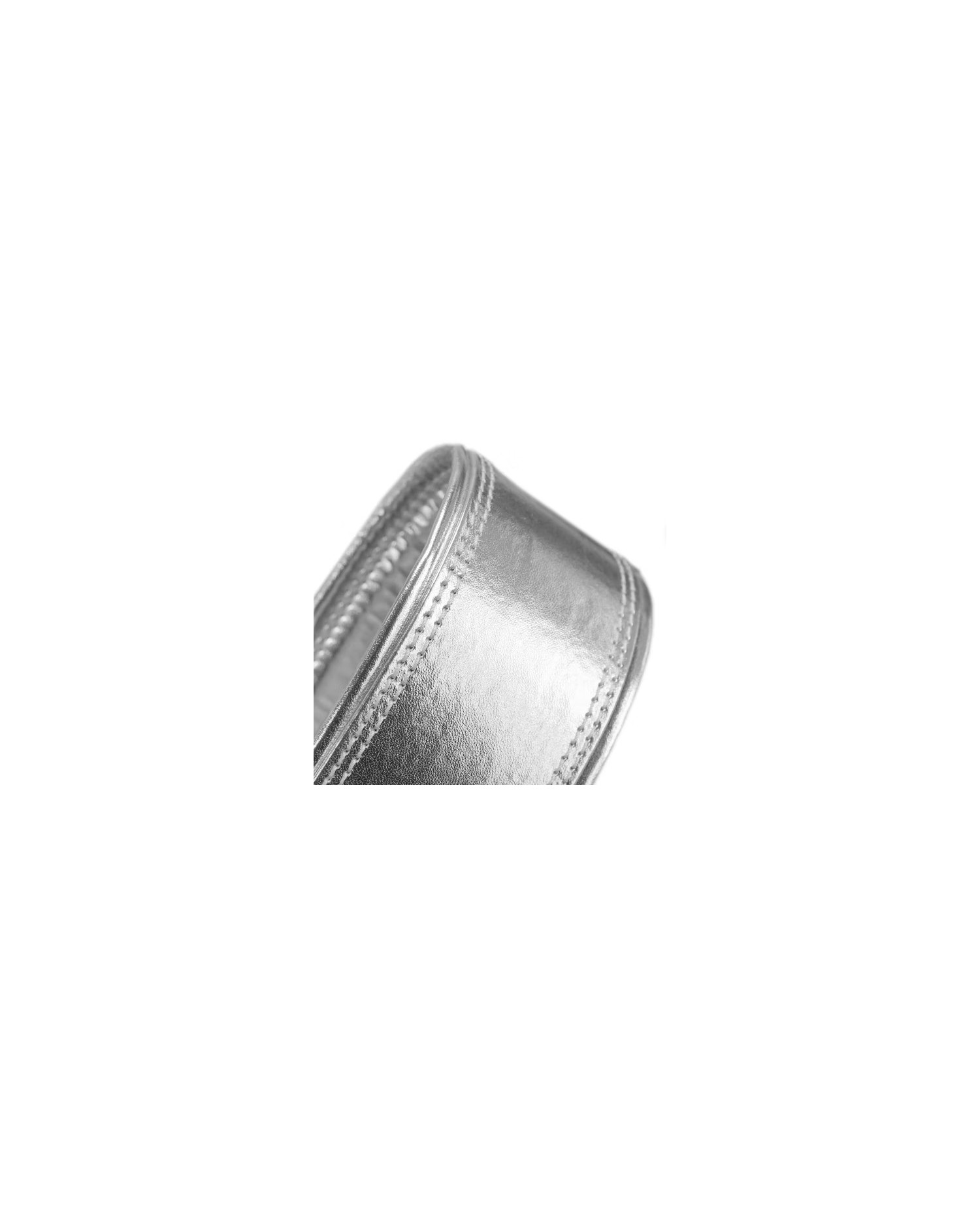 Richter Springbreak I Metallic Silver 2083 - Curea Chitara