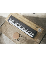 Casio CT-S176 Black - Orga cu Acompaniament