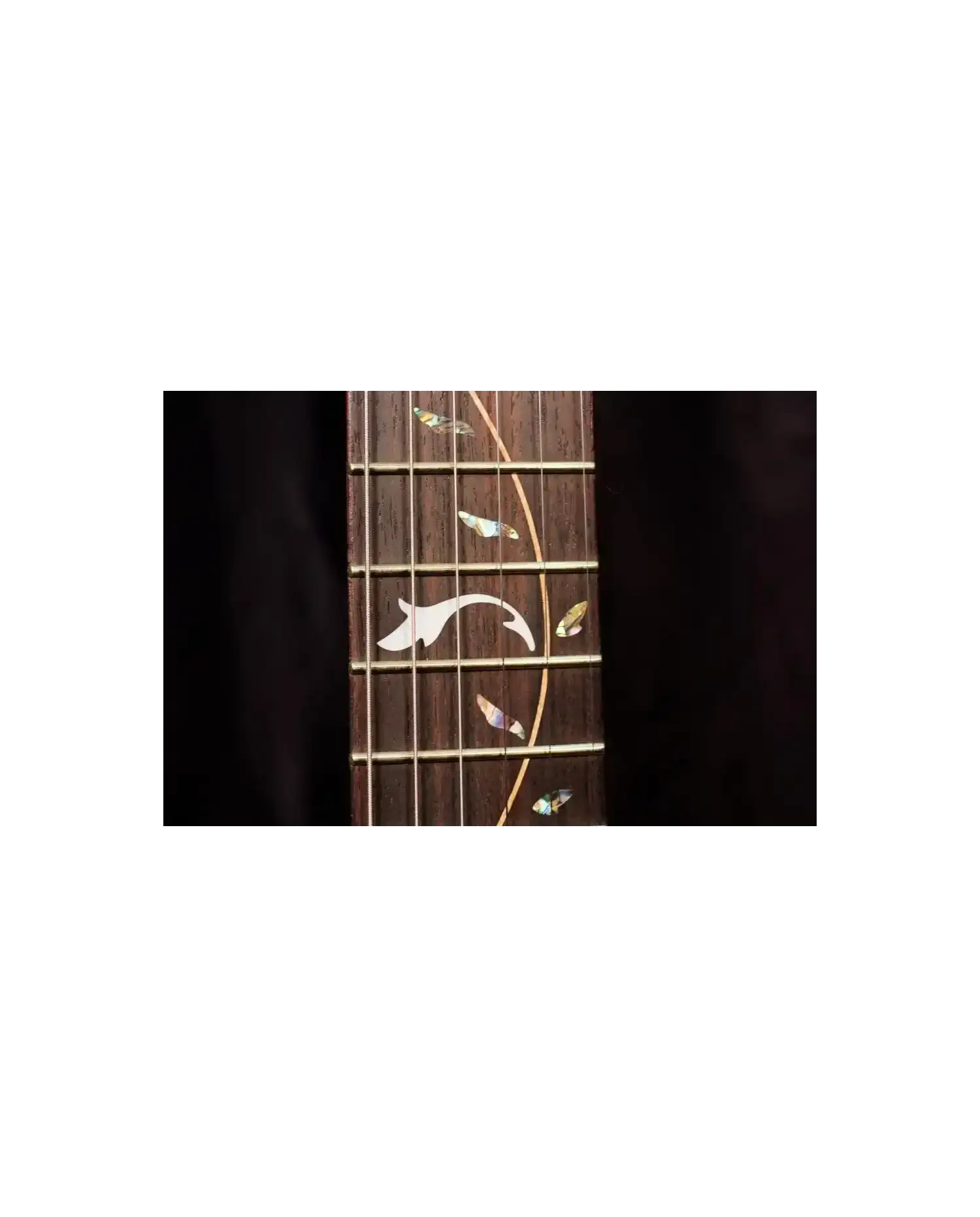 Ibanez JEM7V Steve Vai - Chitara electrica Ibanez - 15