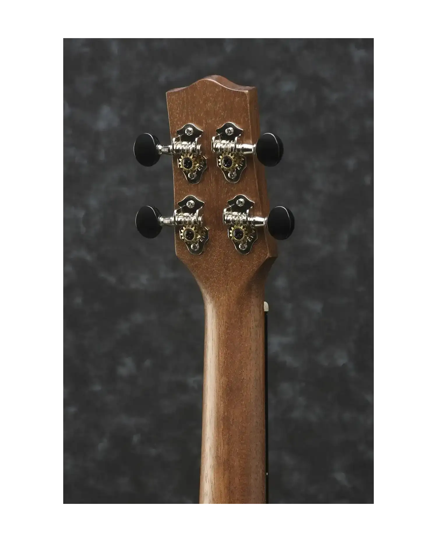 Ibanez UEW15E-OPN - Ukulele electro-acustic Ibanez - 4