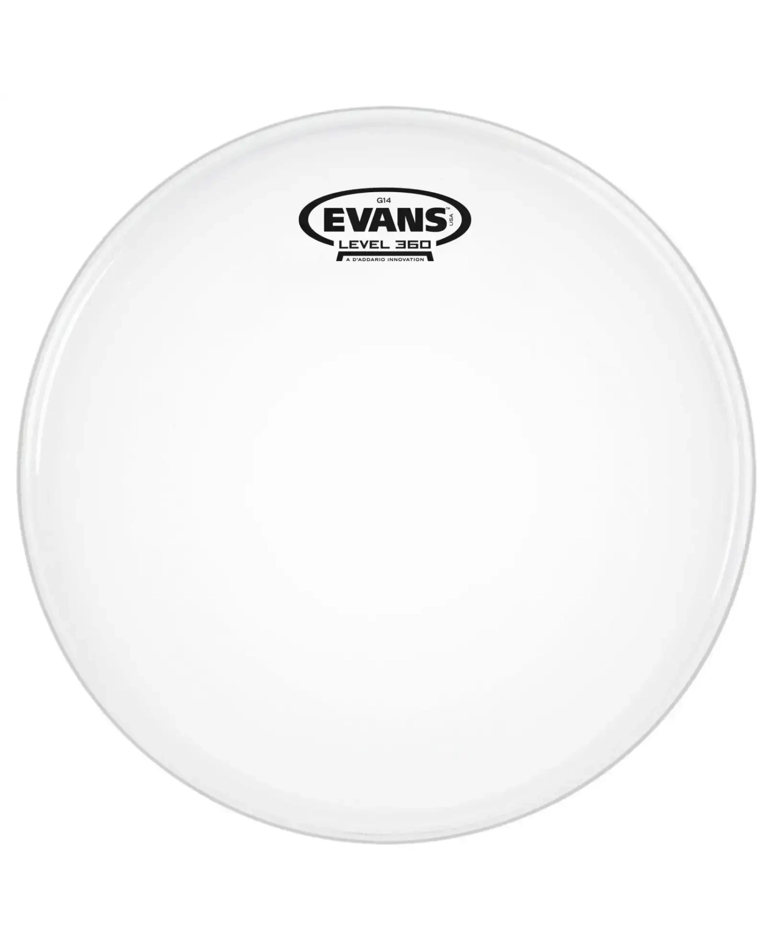 Evans G14 Coated 12" - Fata toba Evans - 1