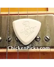 ChickenPicks Bermuda 2.1 - Pana Chitara ChickenPicks - 1