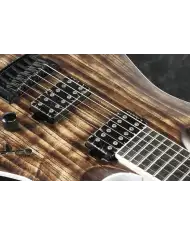 Ibanez RGAIX6U-ABS Iron Label - Chitara Electrica Ibanez - 5