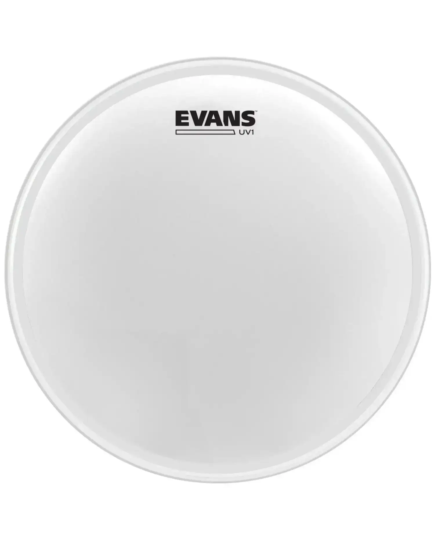 Evans UV1 Coated 14" - Fata toba Evans - 1