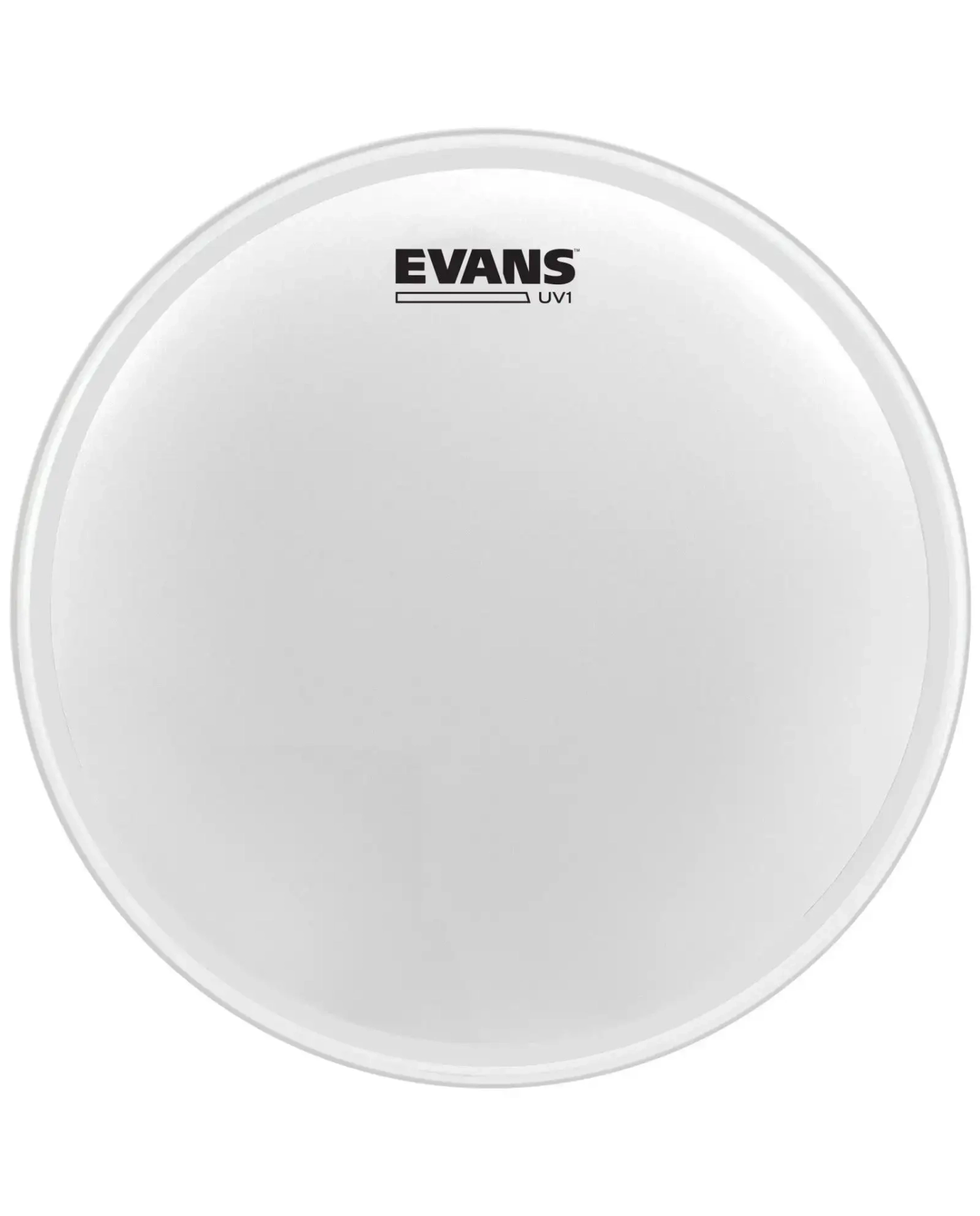 Evans UV1 Coated 16" - Fata toba Evans - 1