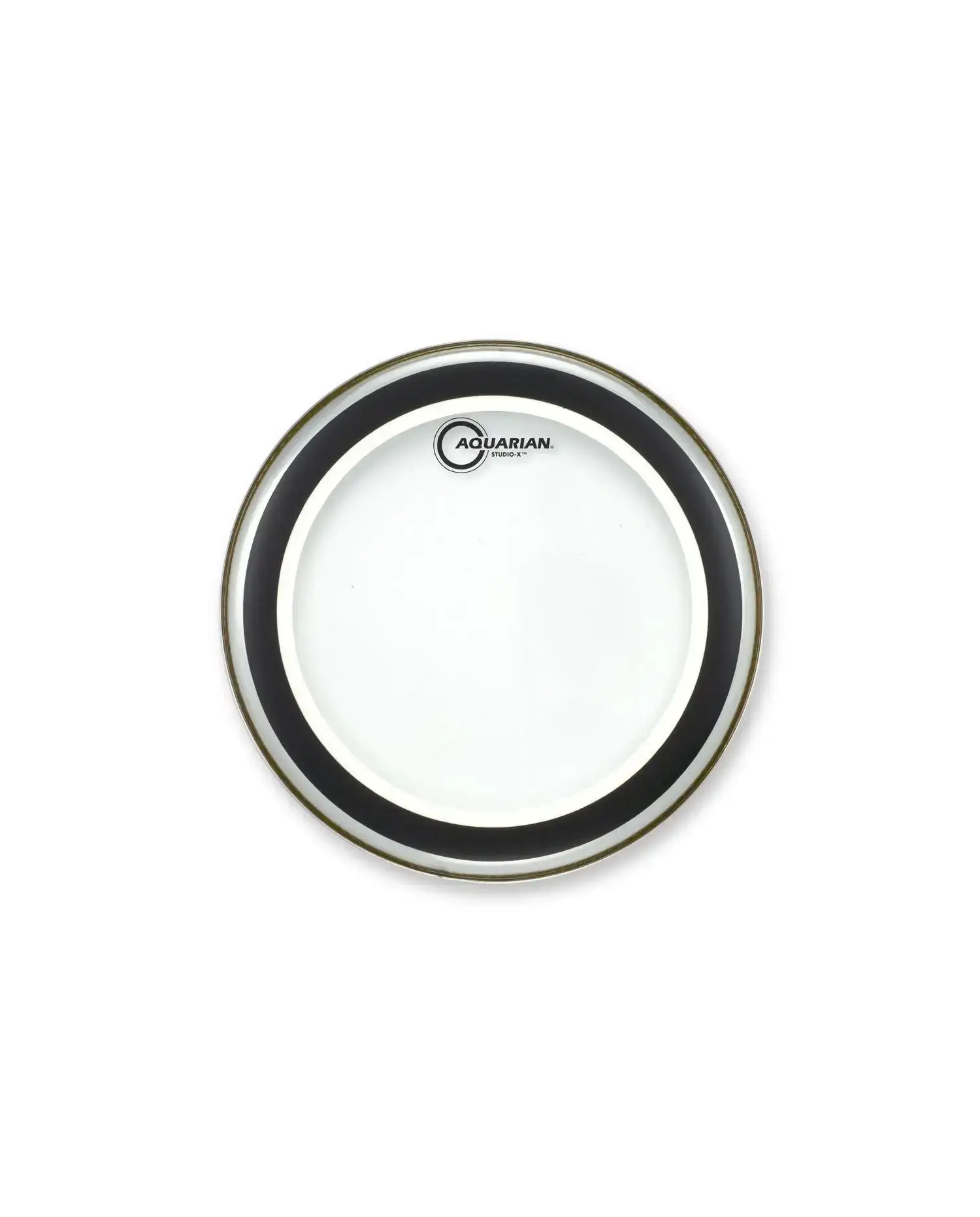 Aquarian 10" Studio-X - Fata toba Aquarian - 1