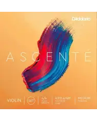 D'Addario A310 4/4M - Set Corzi Vioara D'Addario - 1
