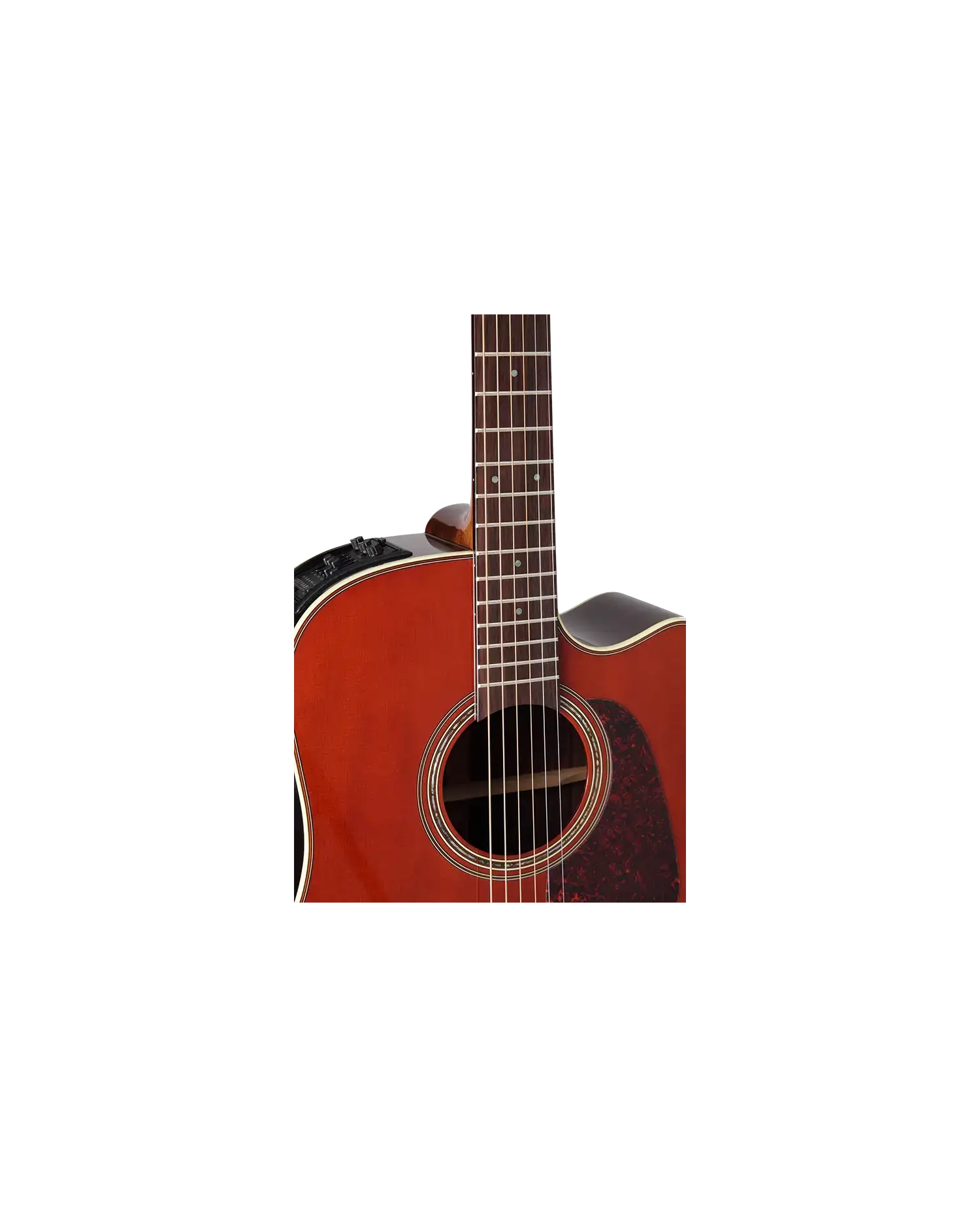 Takamine P5DC WB - Chitara electro-acustica Takamine - 2
