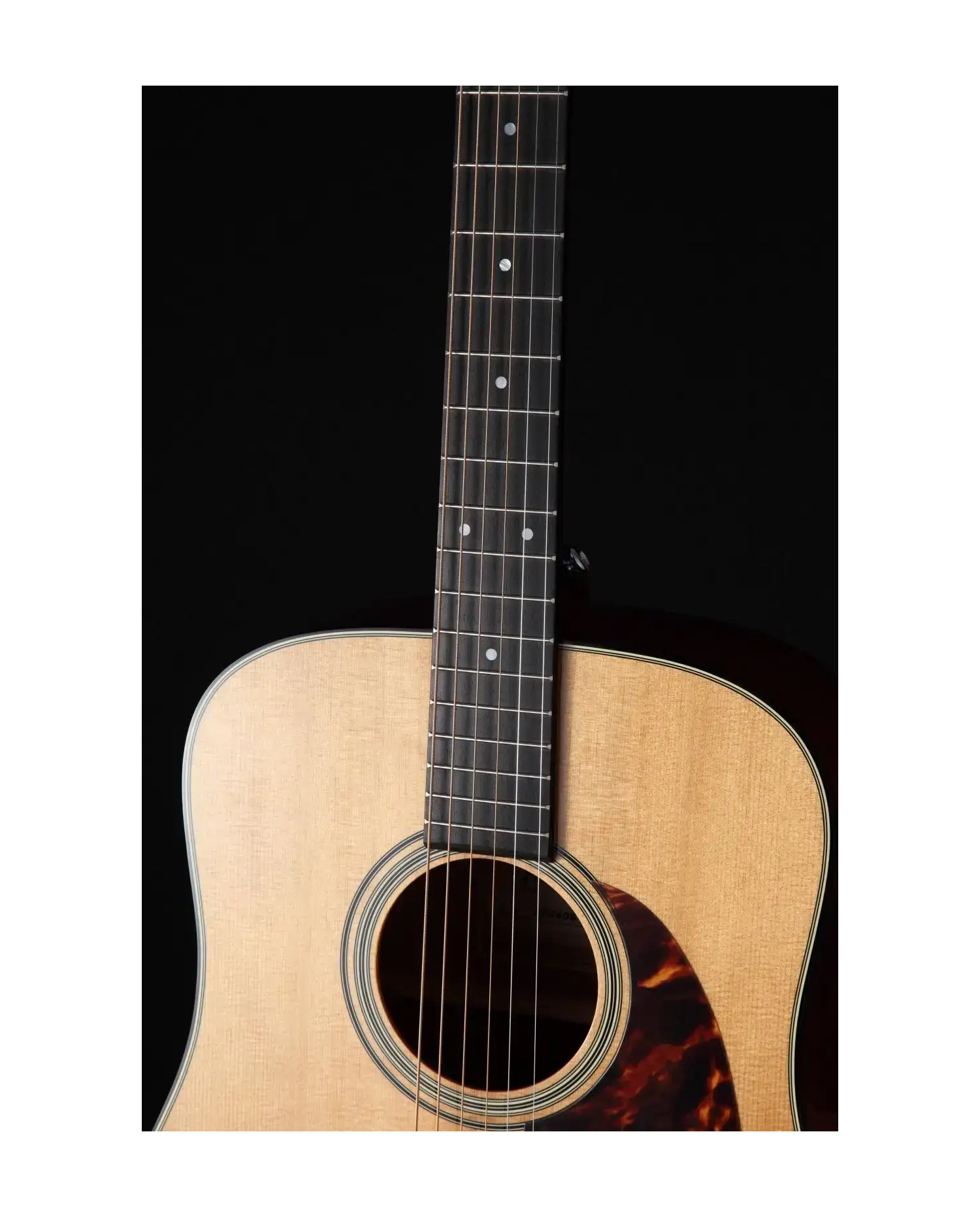 Takamine EF340S-TT - Chitara electro-acustica cu case Takamine - 2