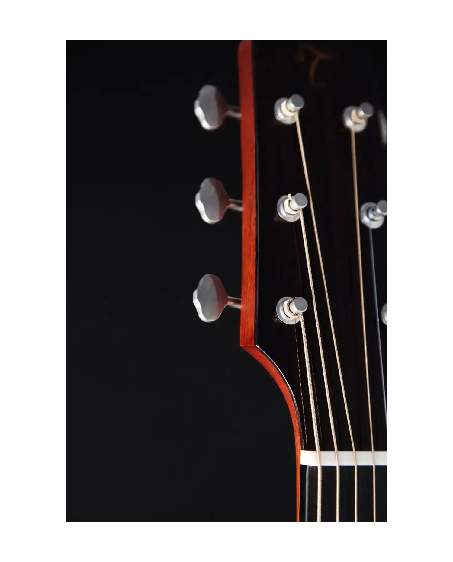 Takamine EF340S-TT - Chitara electro-acustica cu case Takamine - 4