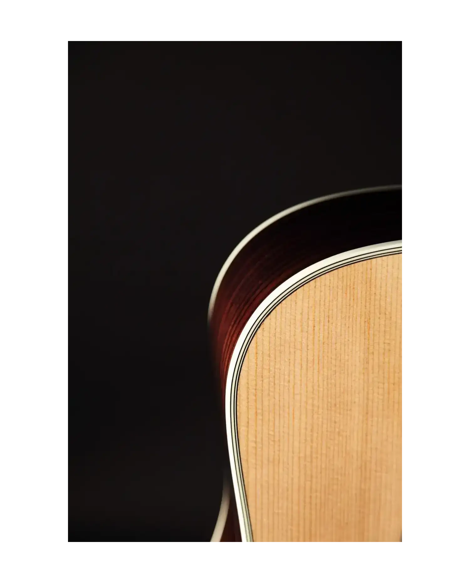 Takamine EF360S-TT - Chitara electro-acustica cu case Takamine - 2