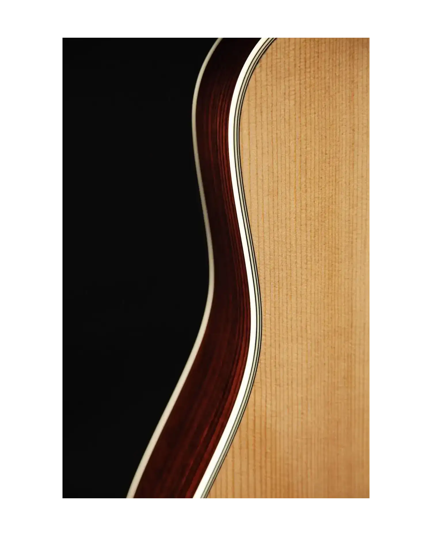 Takamine EF360S-TT - Chitara electro-acustica cu case Takamine - 3
