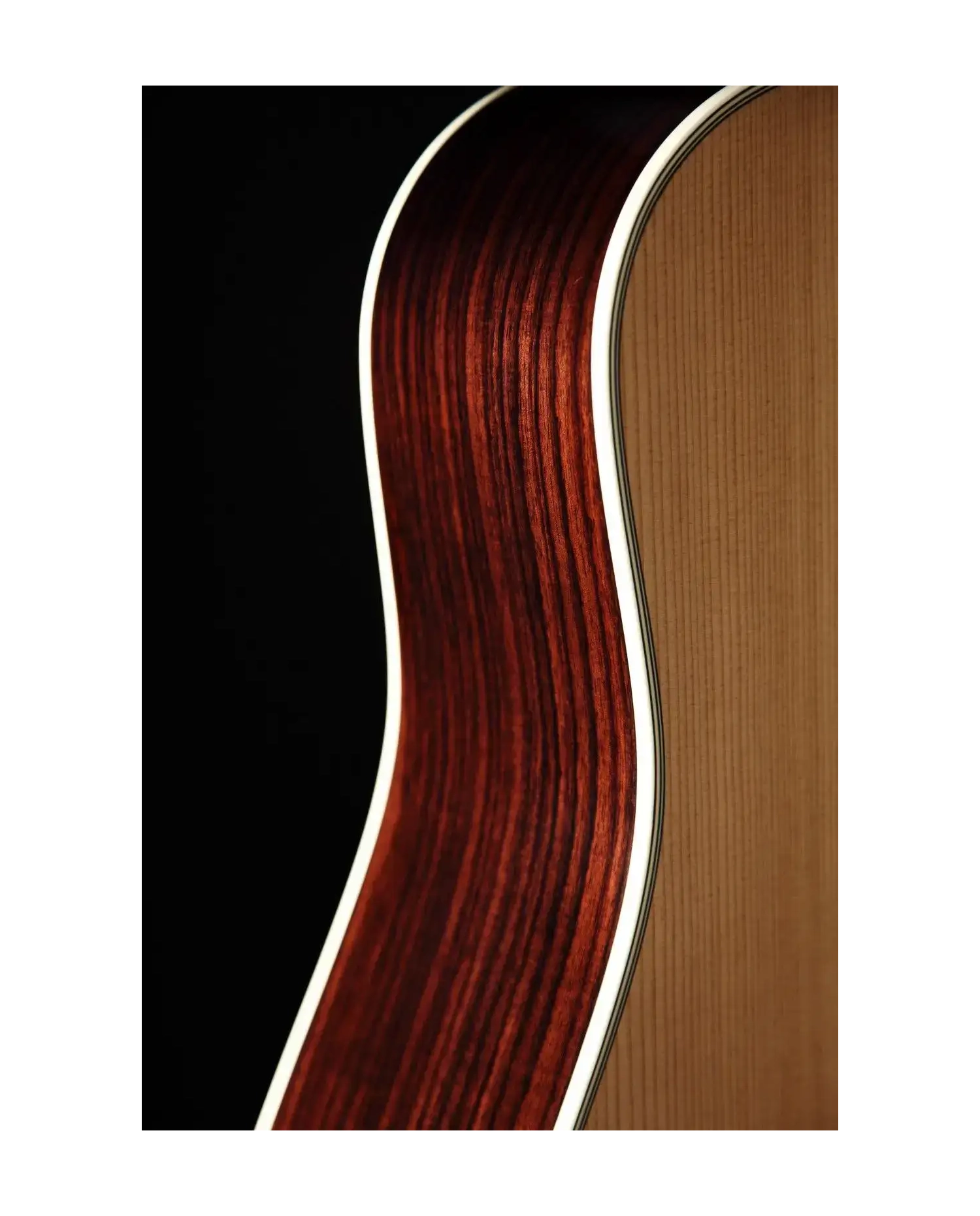Takamine EF360S-TT - Chitara electro-acustica cu case Takamine - 4