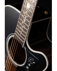 Takamine EF450C-TT TBB - Chitara electro-acustica cu case Takamine - 3