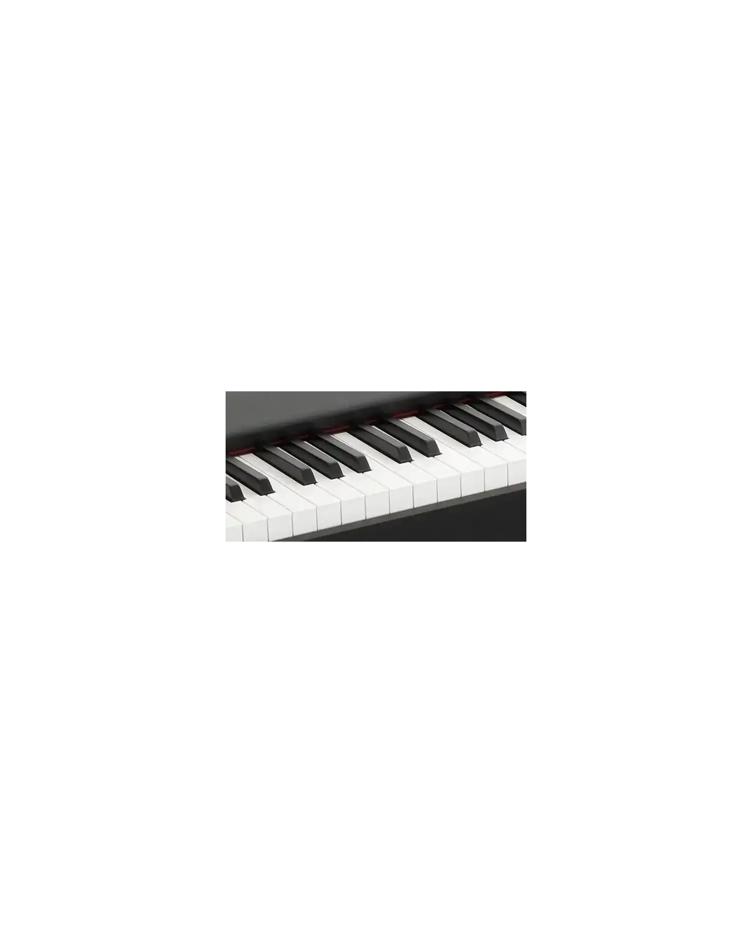 Korg D1 - Pian Digital Korg - 3
