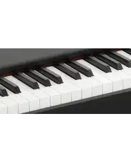 Korg D1 - Pian Digital Korg - 3