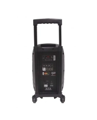 Italian Stage FR10AW - Boxa Activa cu conexiune Bluetooth Italian Stage - 3