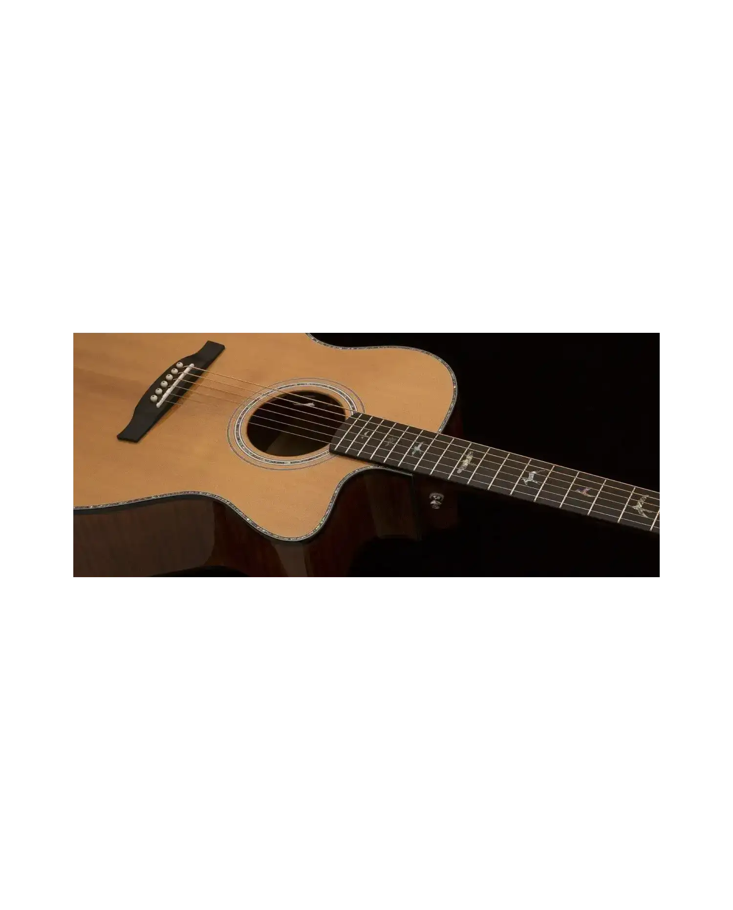 PRS AE50E Angelus Black Gold - Chitara Electro-Acustica PRS - 4
