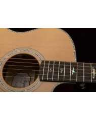 PRS AE50E Angelus Black Gold - Chitara Electro-Acustica PRS - 5