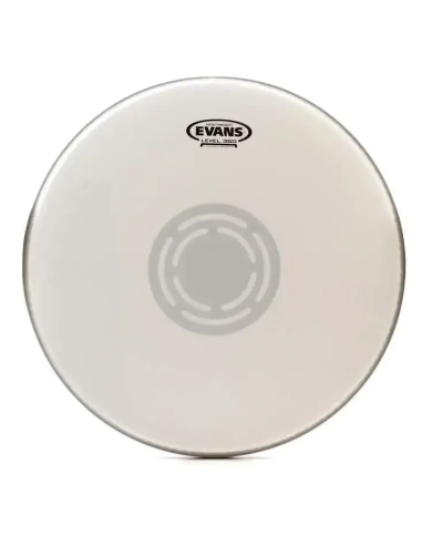 Evans Heavyweight Coated 14" - Fata Toba Evans - 1