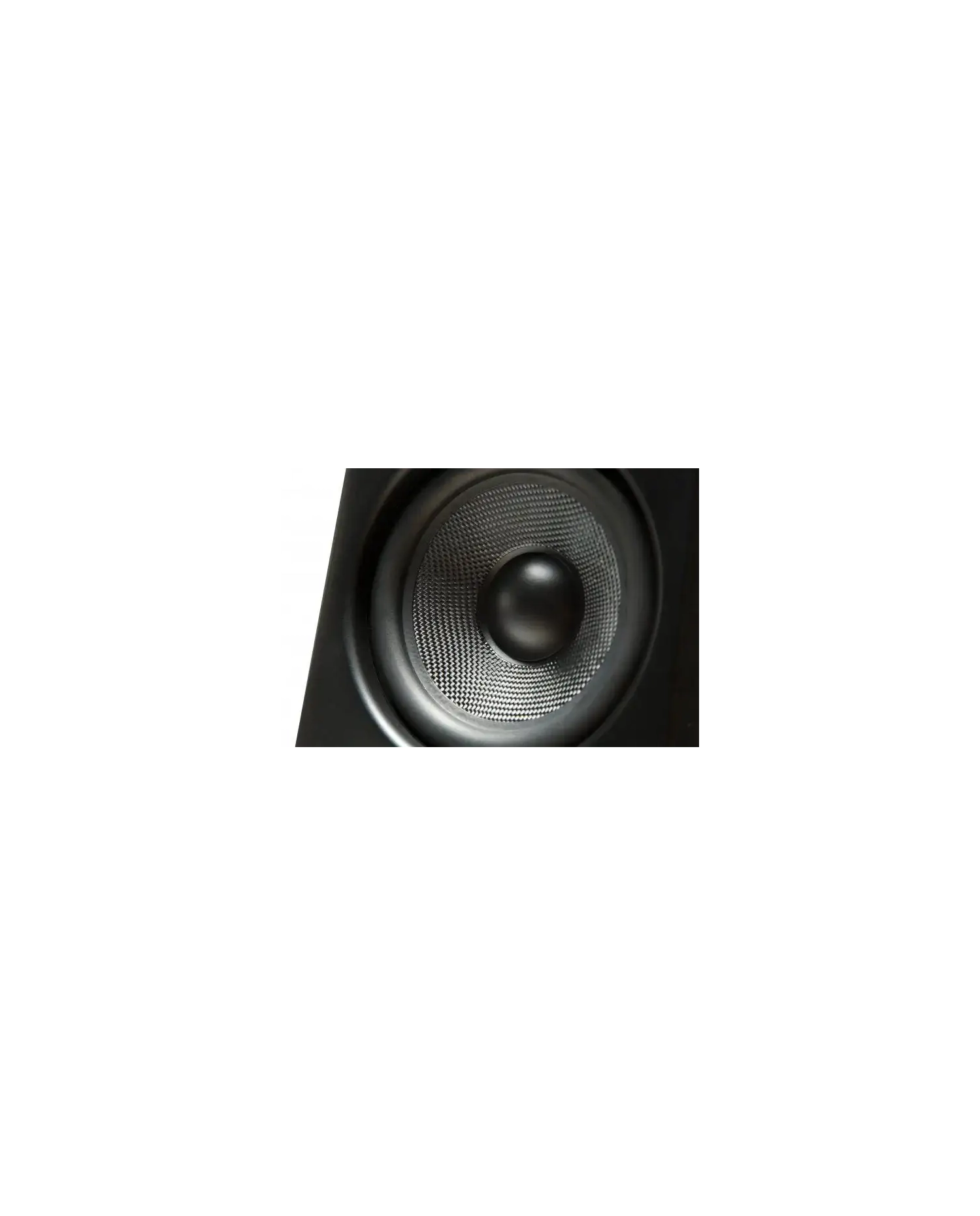 Kurzweil KS-50A - Monitor activ Kurzweil - 5