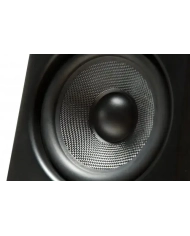 Kurzweil KS-50A - Monitor activ Kurzweil - 5