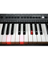 Kurzweil KP90L - Orga cu Acompaniament Kurzweil - 8