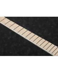 Ibanez RG5120M-FCN Prestige - Chitara Electrica cu Case Ibanez - 5