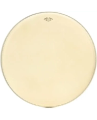 Aquarian 8" Modern Vintage Medium - Fata Toba Aquarian - 1