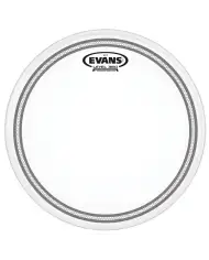 Evans 8" EC2S Coated - Fata Toba Evans - 1