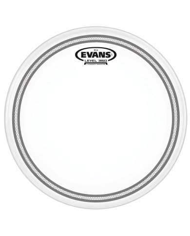 Evans 10" EC2S Coated - Fata Toba Evans - 1