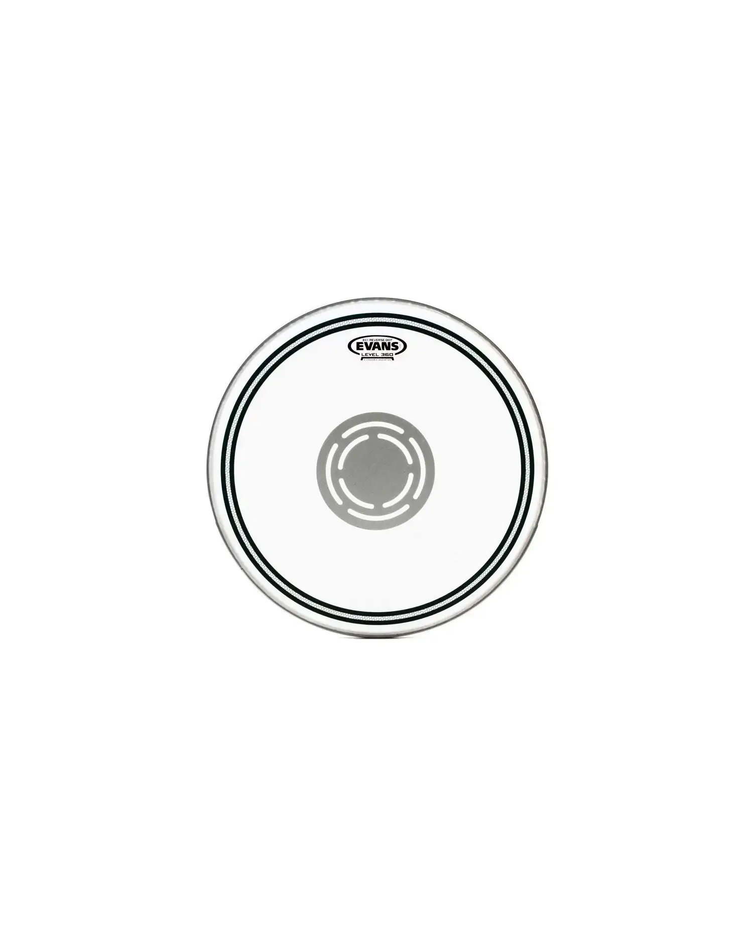 Evans 13" EC1 Reverse Dot - Fata Toba Mica Evans - 1