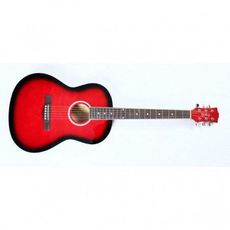 Pulse HW39-101RDS - Chitara Acustica PULSE Guitars - 1
