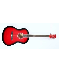 Pulse HW39-101RDS - Chitara Acustica PULSE Guitars - 1