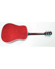 Pulse HW41-RDS - Chitara Acustica PULSE Guitars - 3