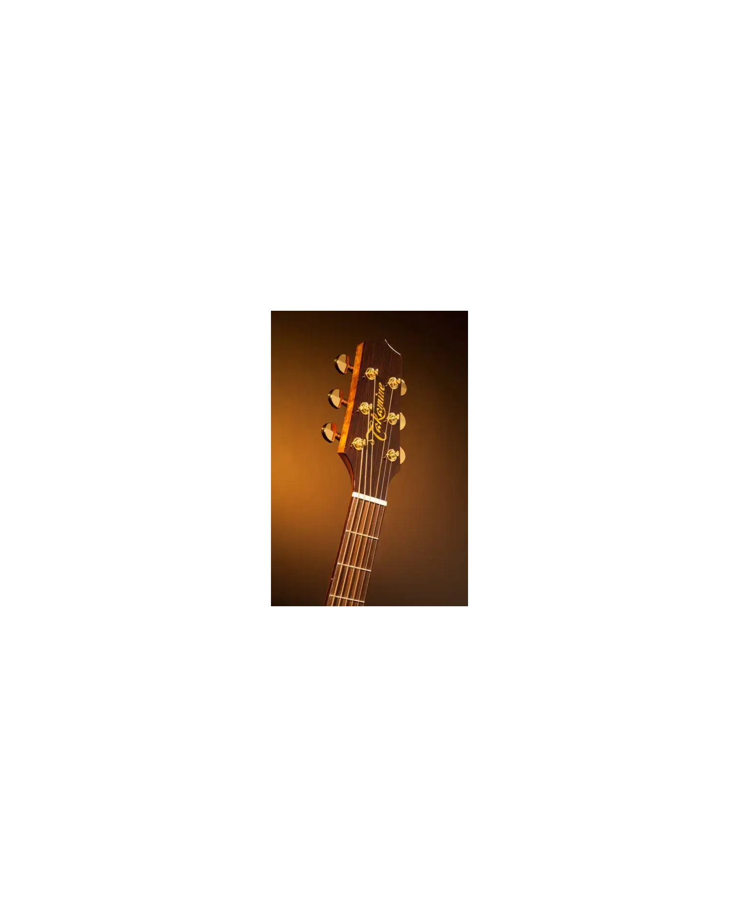Takamine P5JC - Chitara electro-acustica Takamine - 3