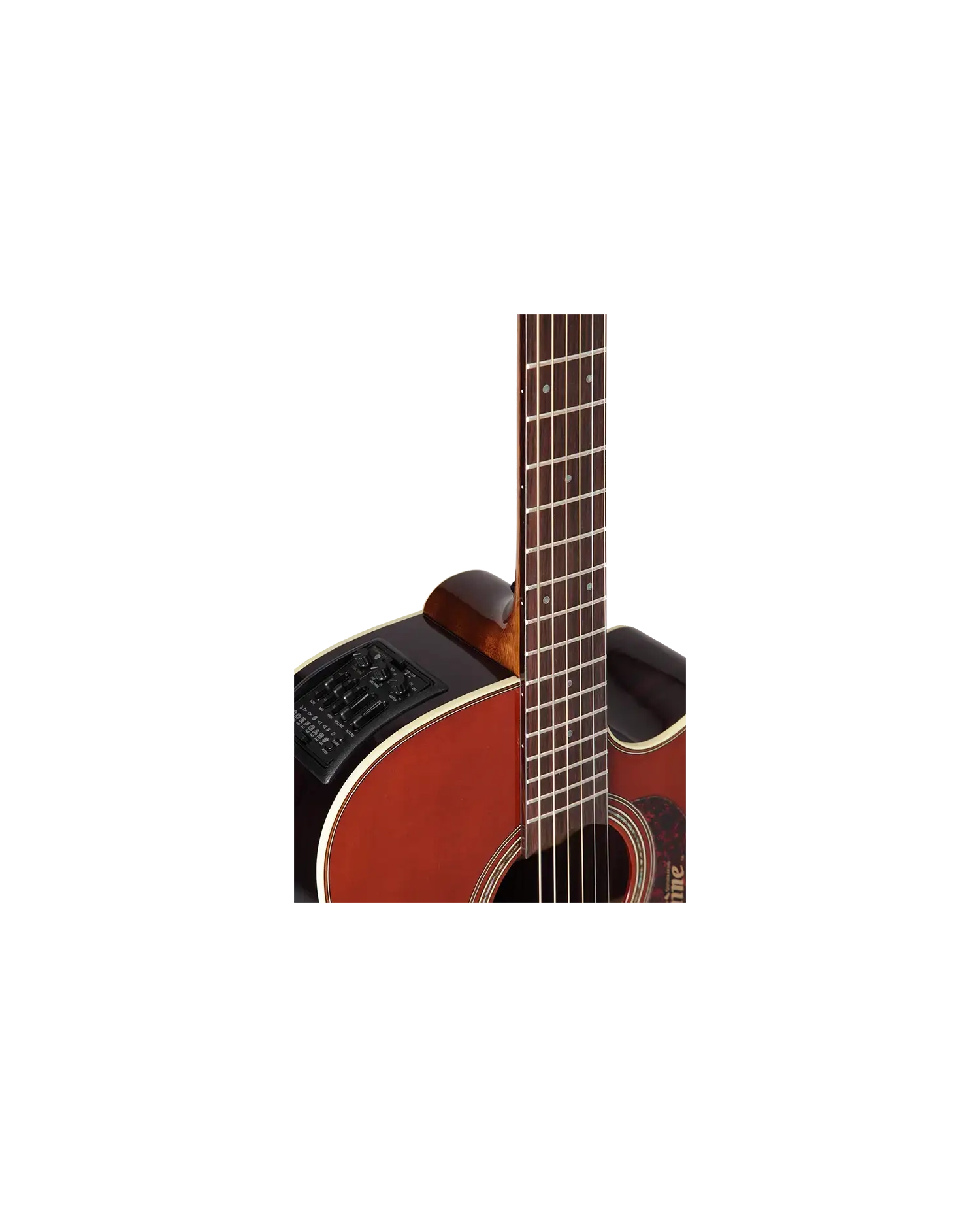 Takamine P5DC WB - Chitara electro-acustica Takamine - 4