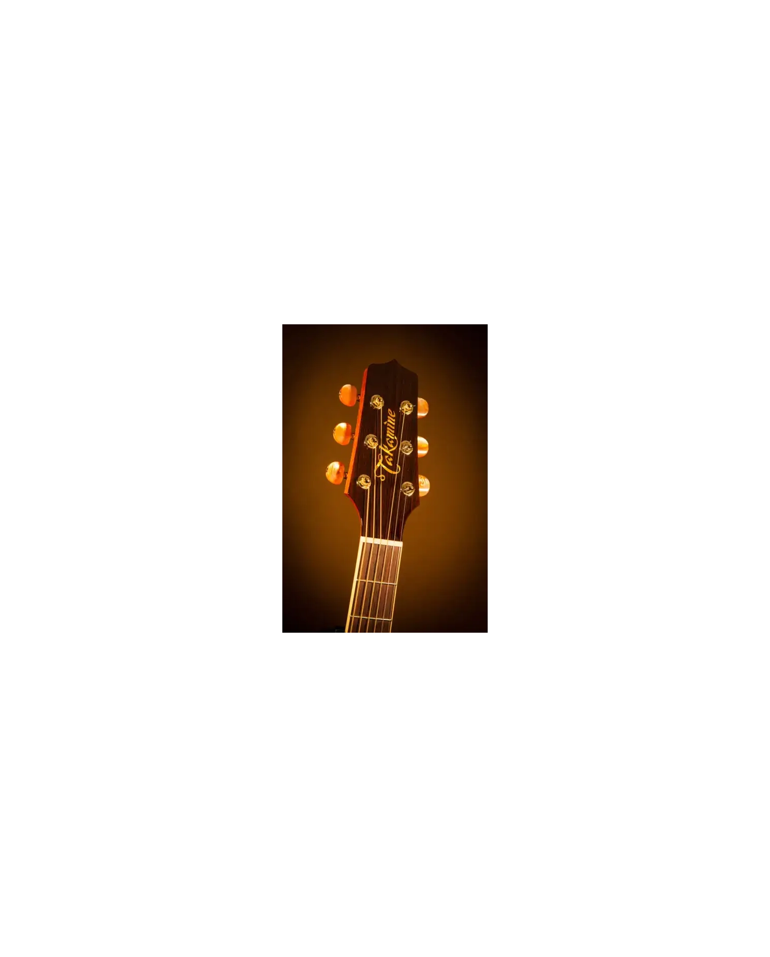 Takamine P4DC Pro Series - Chitara electro-acustica Takamine - 2