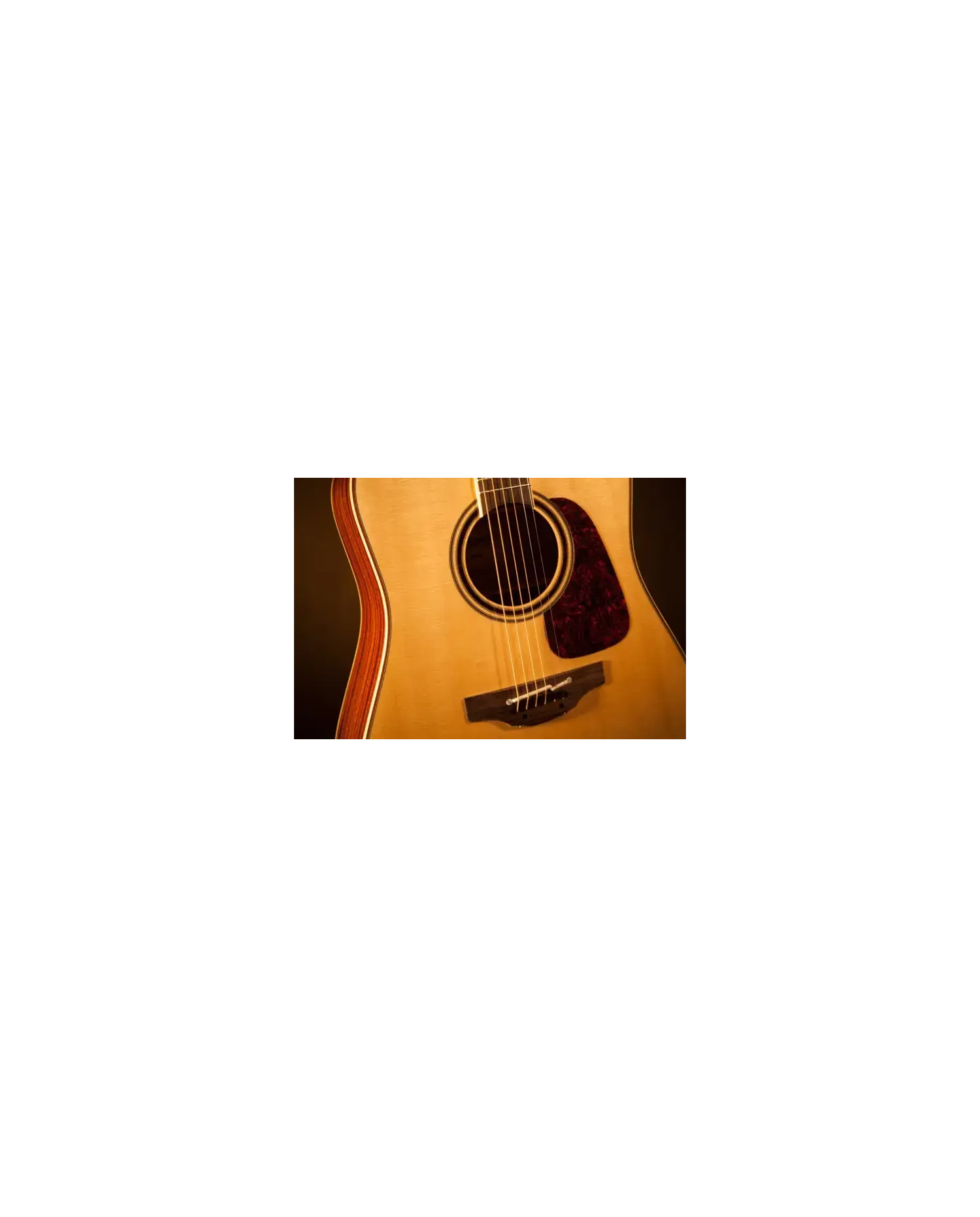 Takamine P4DC Pro Series - Chitara electro-acustica Takamine - 3