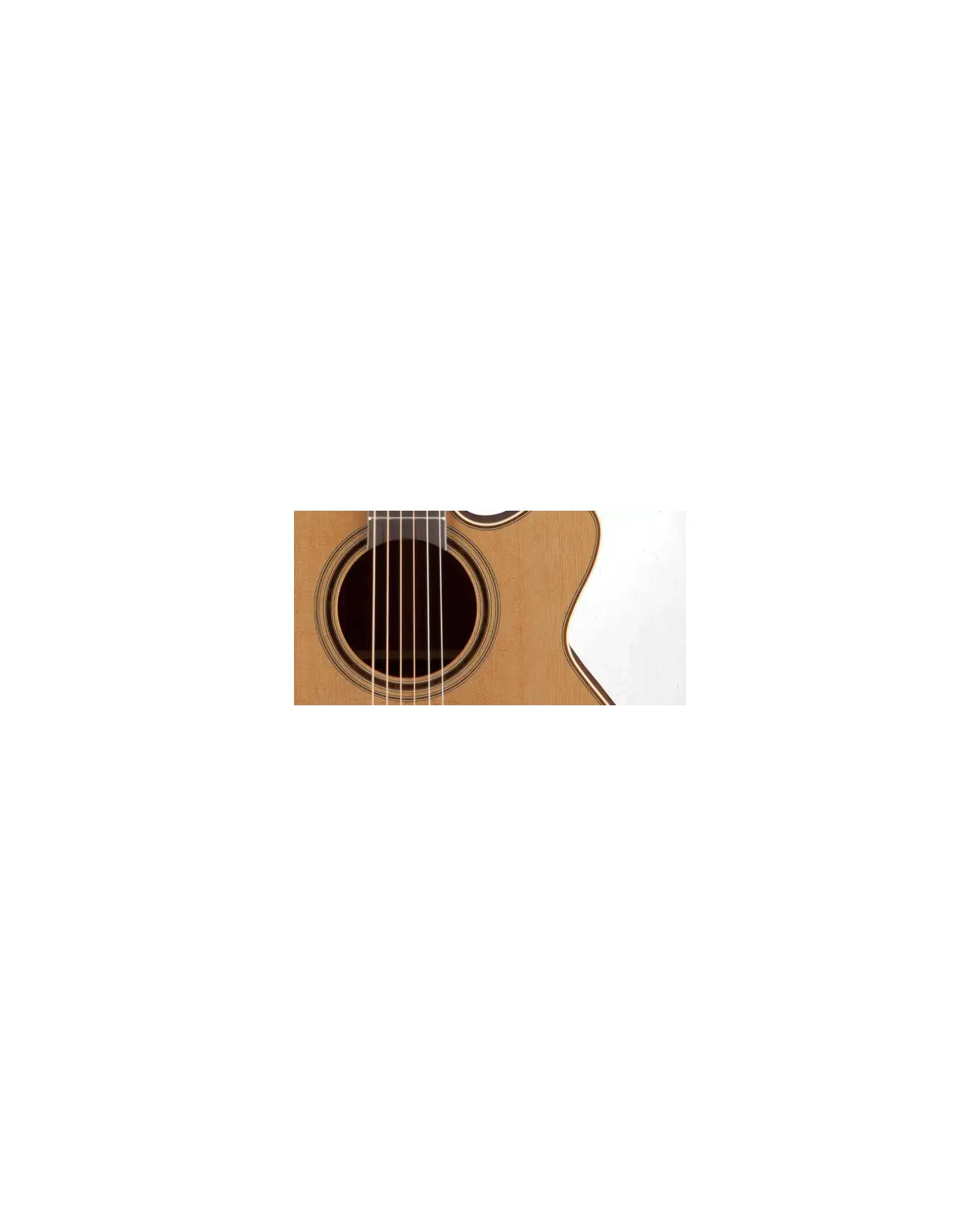 Takamine P3NC - Chitara electro-acustica cu case Takamine - 4