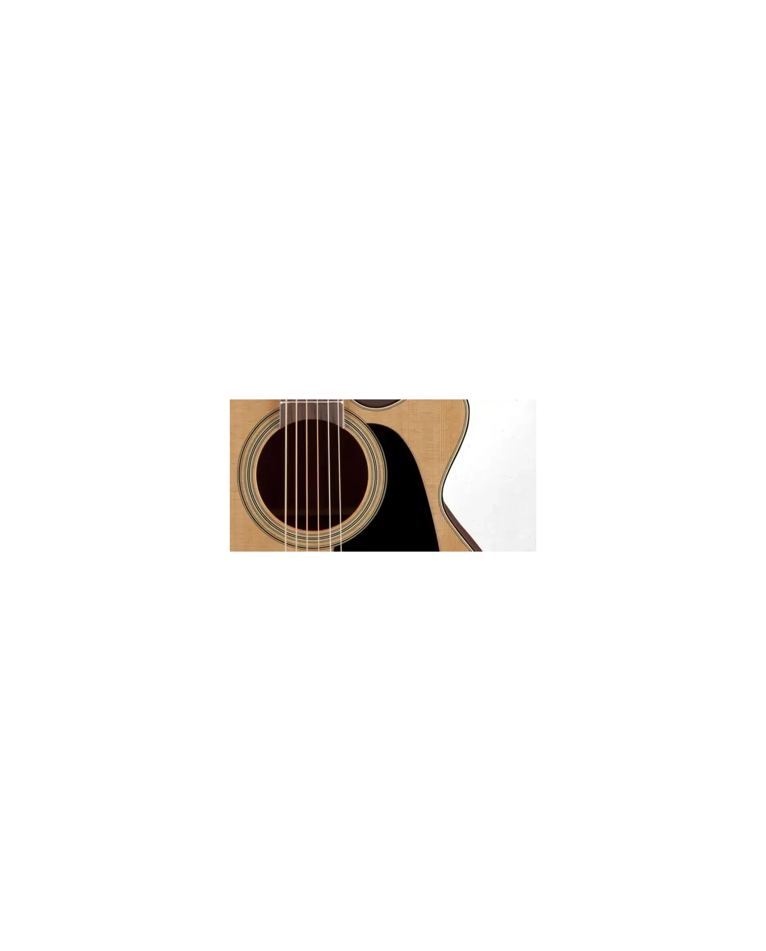 Takamine P1NC - Chitara electro-acustica cu case Takamine - 5