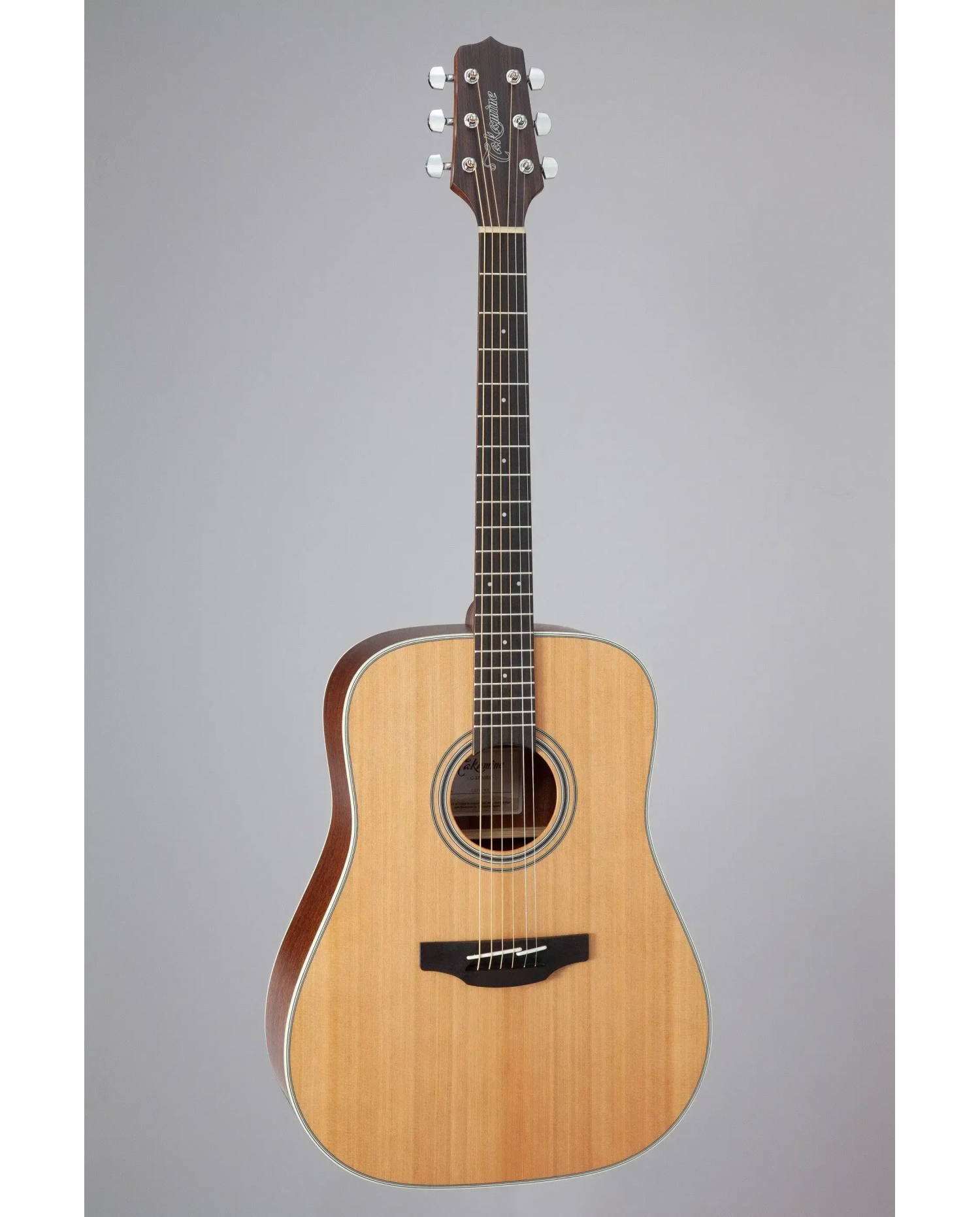 Takamine GD20-NS - Chitara Acustica Takamine - 2
